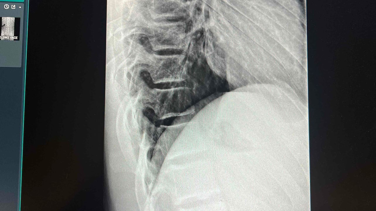 Landurr (landurr) Farcaster social identity (Fname handle) PFP