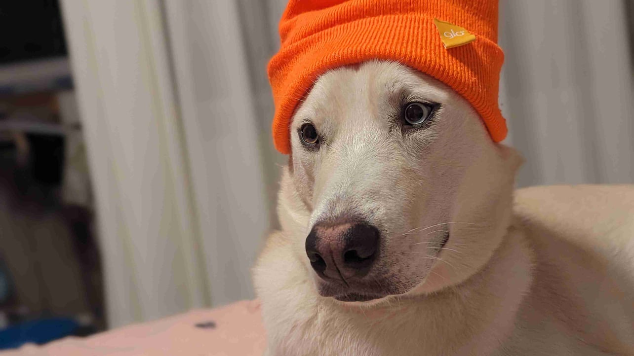 Cristian Ghita (gcris.eth) Farcaster social identity (Fname handle) PFP