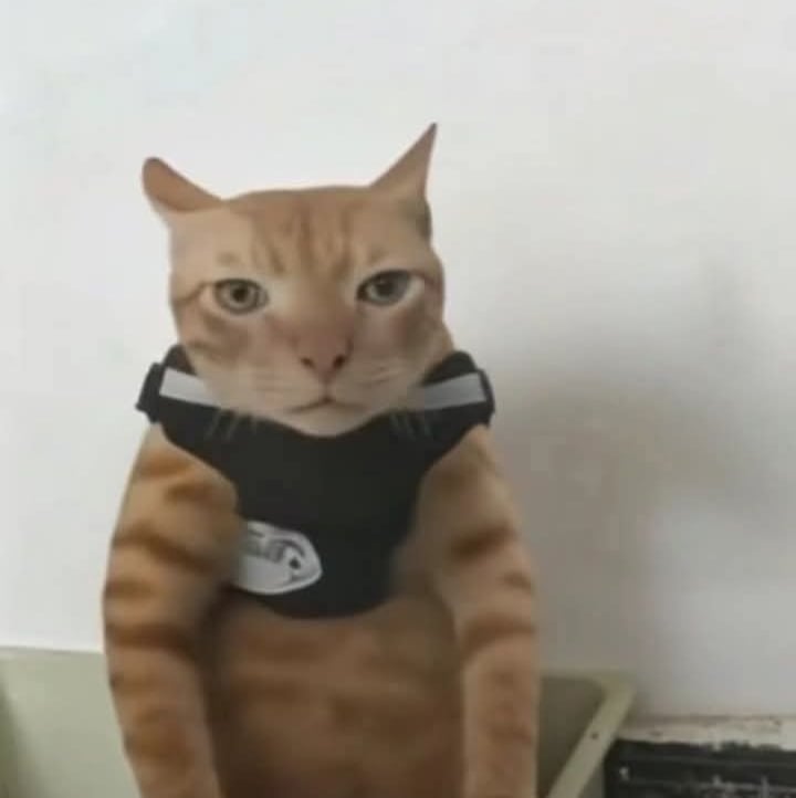 JuraganBurung pfp