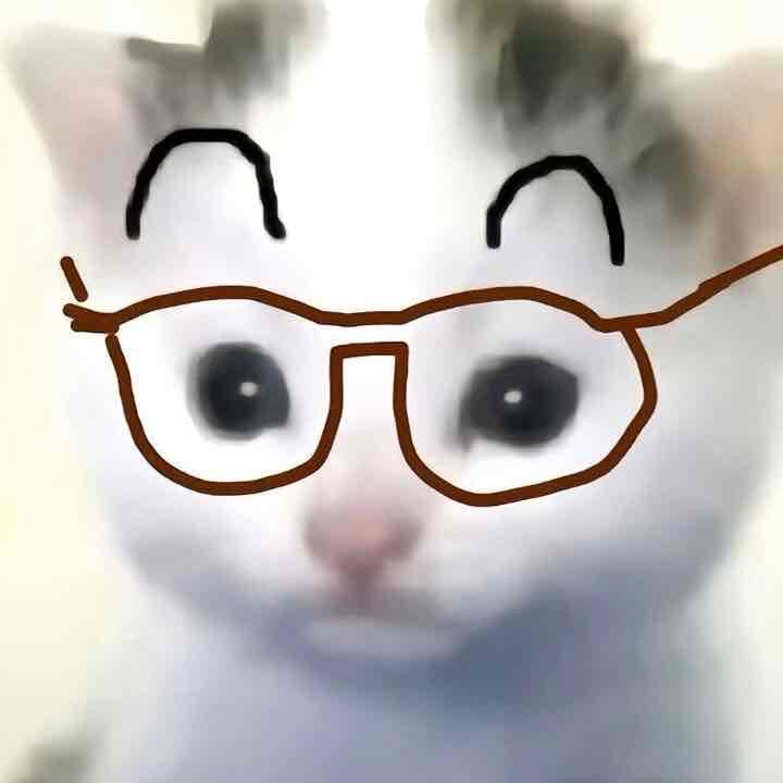 美丽的小白兔 pfp