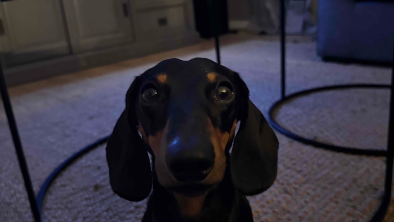 paul (ducat1) Farcaster social identity (Fname handle) PFP