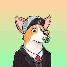 Teriko Hamo pfp