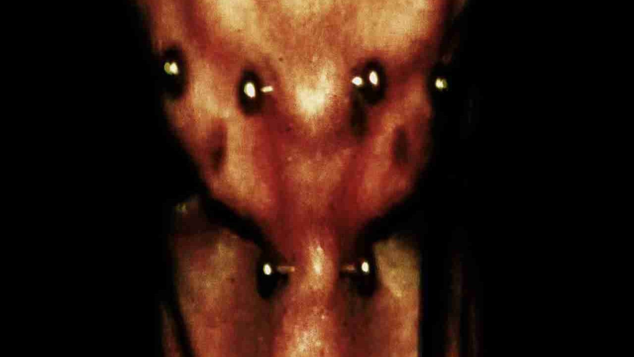 savvyguru.lens Lens social identity (.lens handle) PFP