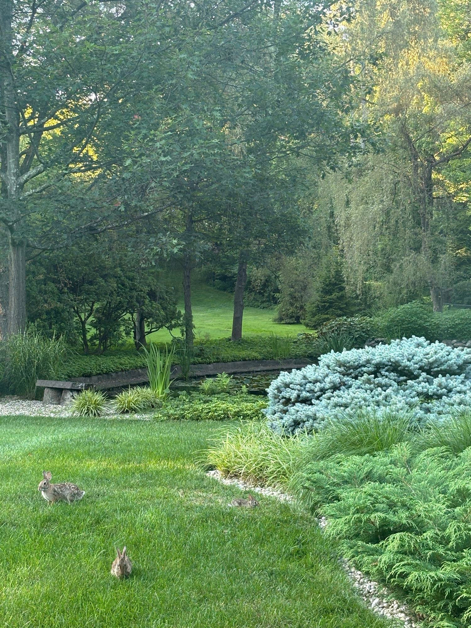 Embed from @adrienne