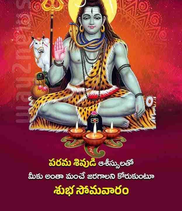 88320 (88320.lens) Lens social identity (.lens handle) PFP