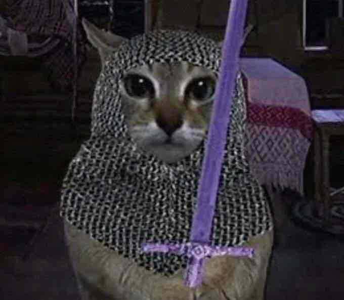 Bandot pfp