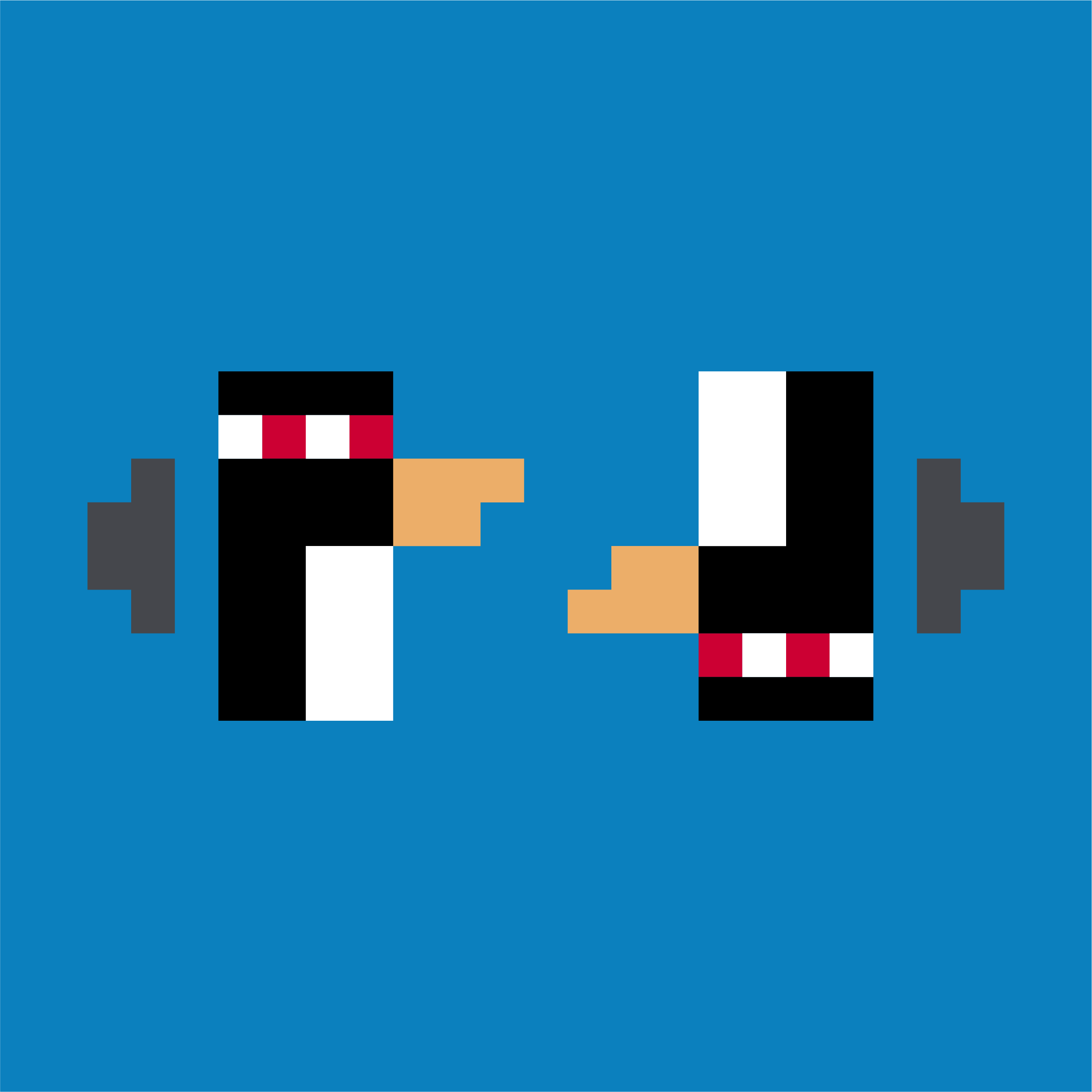 zkPengz 🐧 onChain pfp