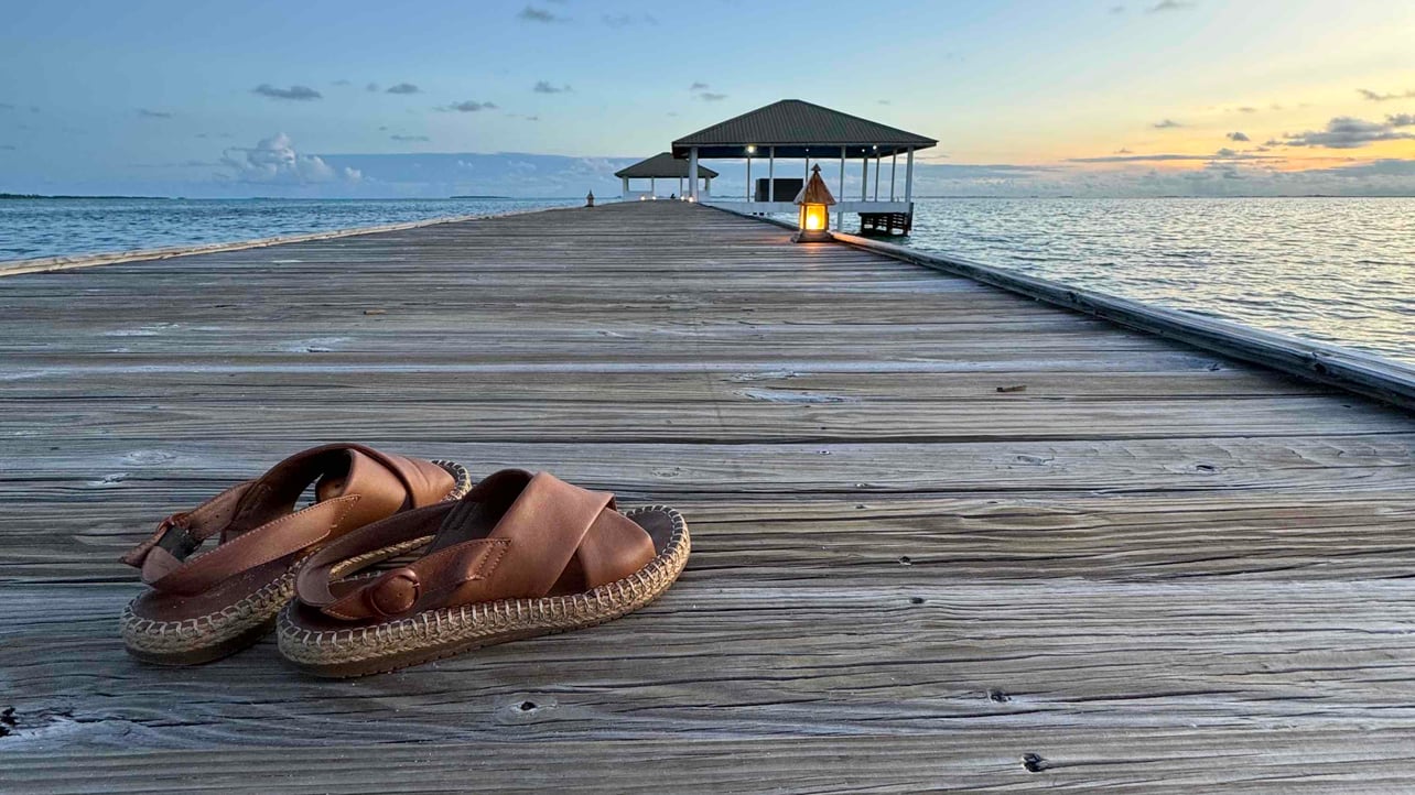 natal (joyanataly.lens) Lens social identity (.lens handle) PFP