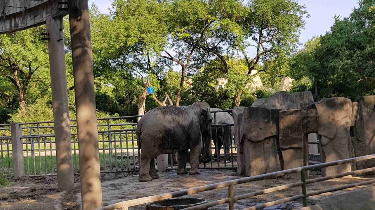 Mohsen (mohsenctr4) Farcaster social identity (Fname handle) PFP