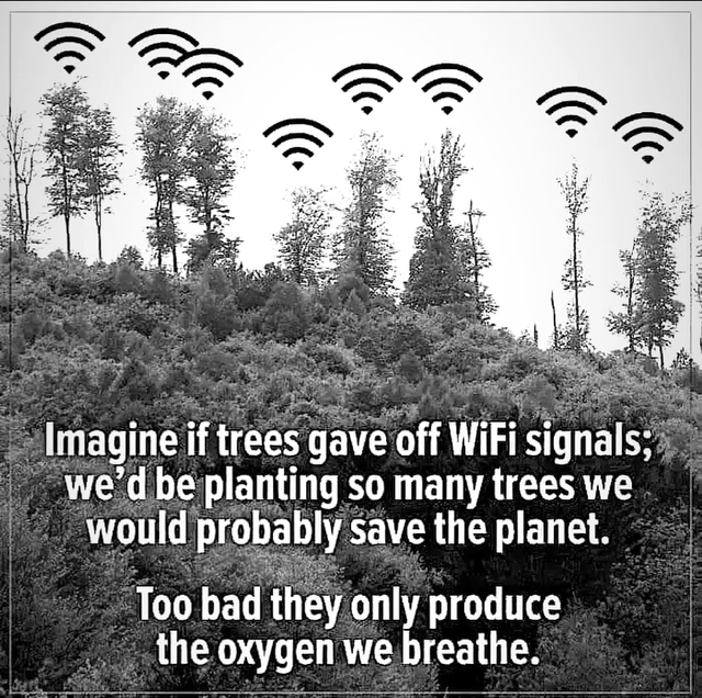 Pocket Sized WiFi Trees
