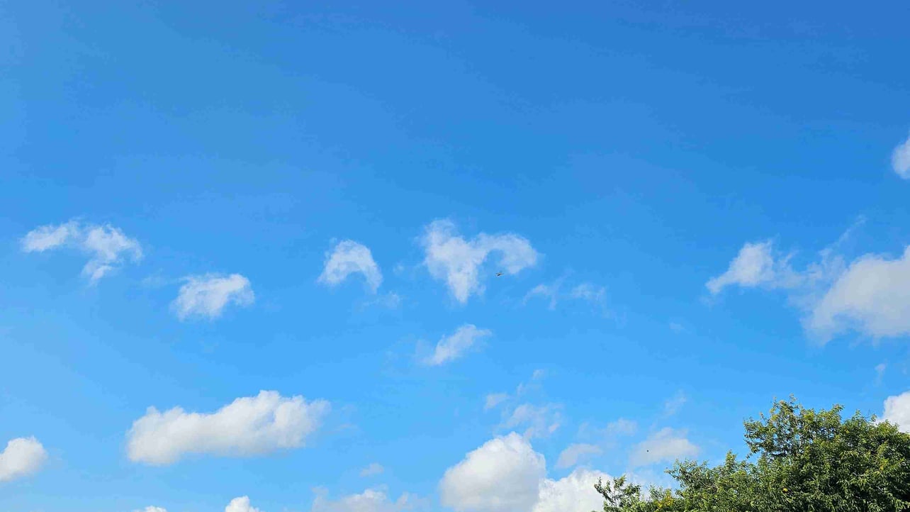 Soclly (soclly) Farcaster social identity (Fname handle) PFP