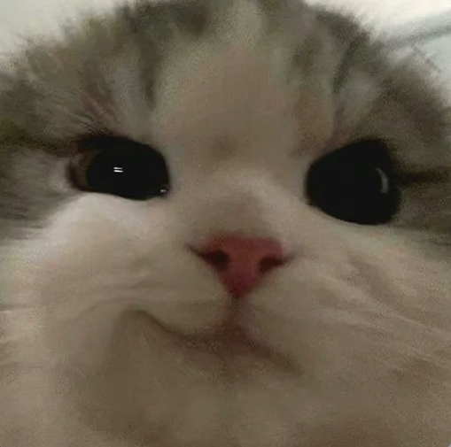 Mike pfp