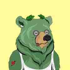 dmunaavan (dmunaavan.lens) Lens social identity (.lens handle) PFP