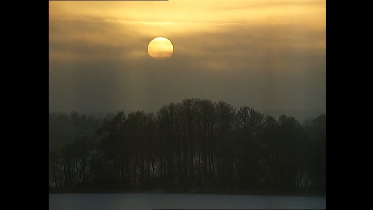 dean (golovniy.lens) Lens social identity (.lens handle) PFP