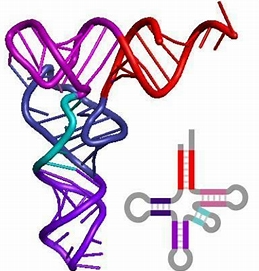 Hello (haha1234) Farcaster social identity (Fname handle) PFP