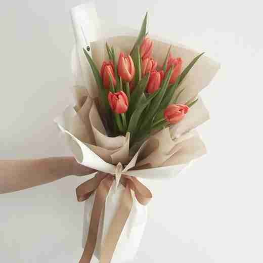 FannyHarrington (fannyharrington) Farcaster social identity (Fname handle) PFP