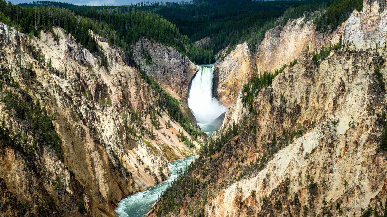 moondefender.lens Lens social identity (.lens handle) PFP