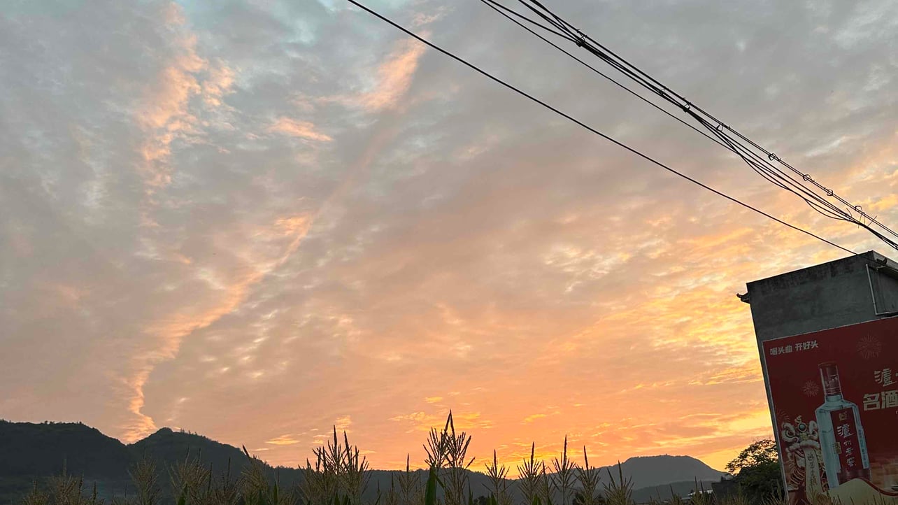 sange (sangezhanghao) Farcaster social identity (Fname handle) PFP