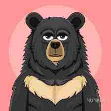 Punday pfp