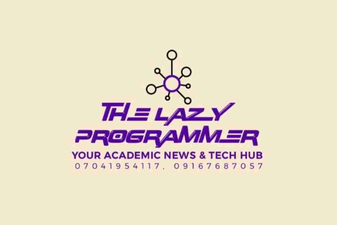 THE LAZY PROGRAMMER pfp
