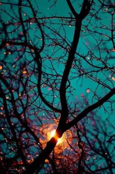 Hiroshi Green (ferguskathy) Farcaster social identity (Fname handle) PFP