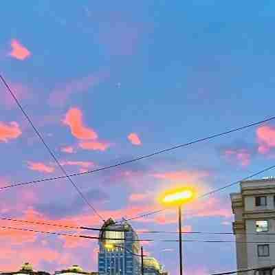 wdyyz.lens Lens social identity (.lens handle) PFP