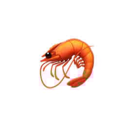 ebi pfp