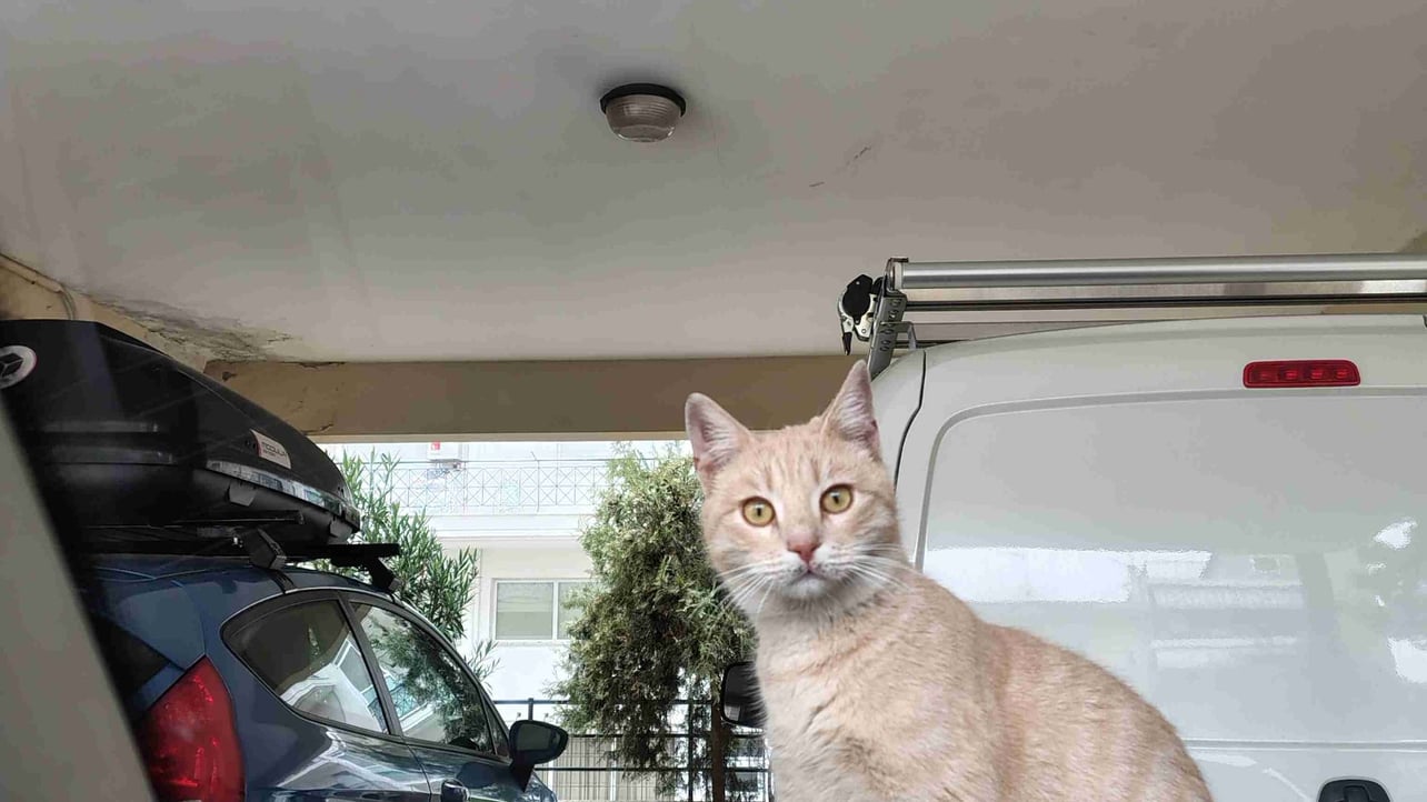 Hliana Mavropoulou (ilianoula) Farcaster social identity (Fname handle) PFP