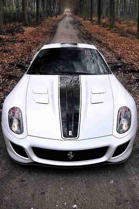 acecaribou Farcaster social identity (Fname handle) PFP