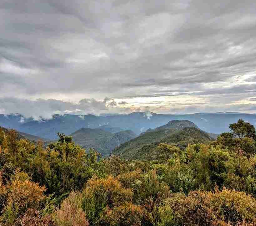 Adrian Mathis (joelhimmelbauer8) Farcaster social identity (Fname handle) PFP