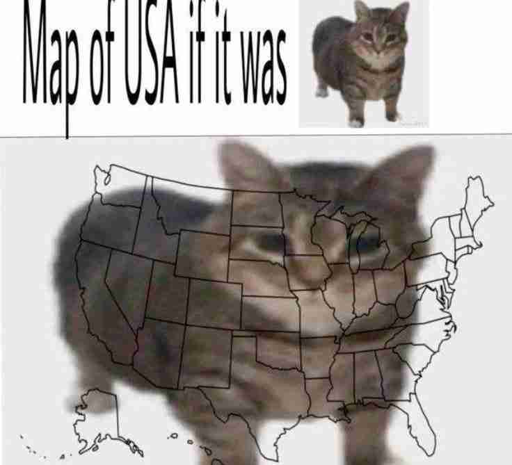 Fedriko (fedriko) Farcaster social identity (Fname handle) PFP