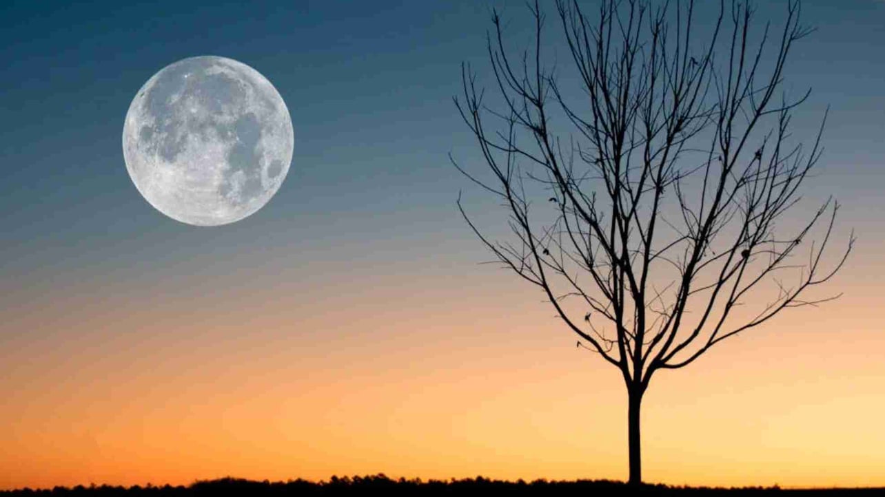 Happy756 (happy756) Farcaster social identity (Fname handle) PFP