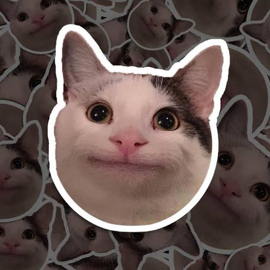 Based cat