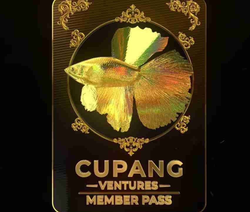 itsasus.lens Lens social identity (.lens handle) PFP