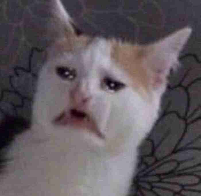 xenal6666.lens Lens social identity (.lens handle) PFP