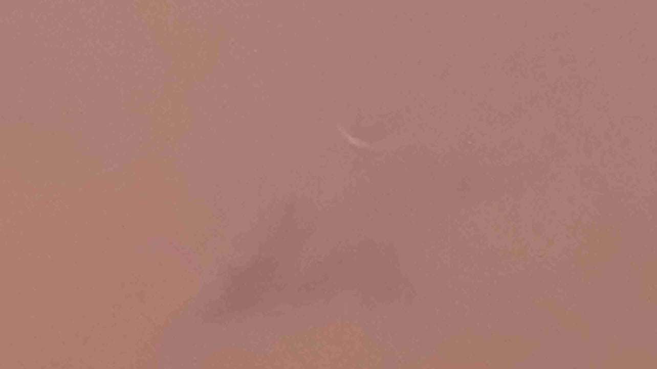 reginaxa (reginaxa.lens) Lens social identity (.lens handle) PFP