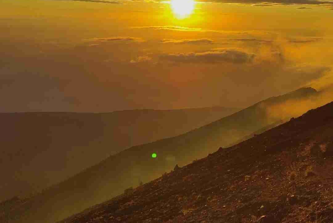 krisnad (krisnad.lens) Lens social identity (.lens handle) PFP