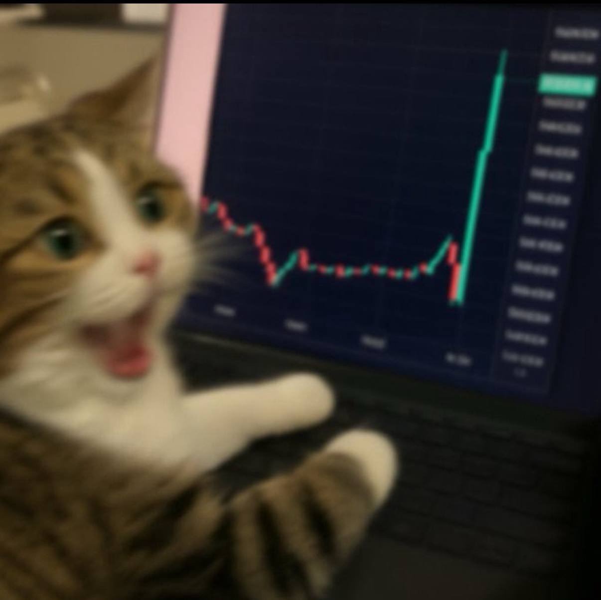 Sumon Reza (smnreza) Farcaster social identity (Fname handle) PFP