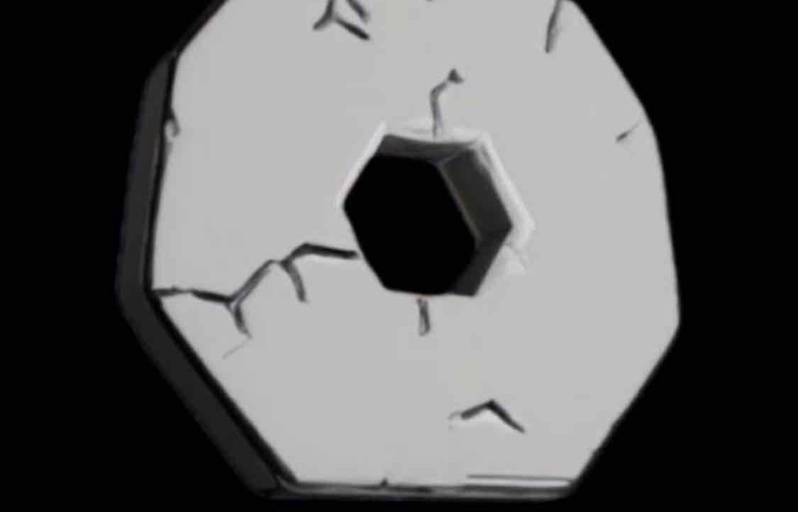 ShiloRosemay pfp