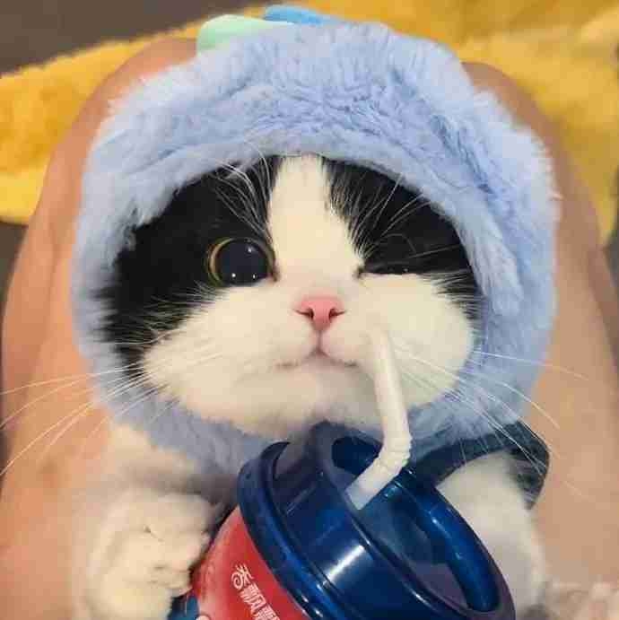 jaikabhan (niniininiianinii) Farcaster social identity (Fname handle) PFP