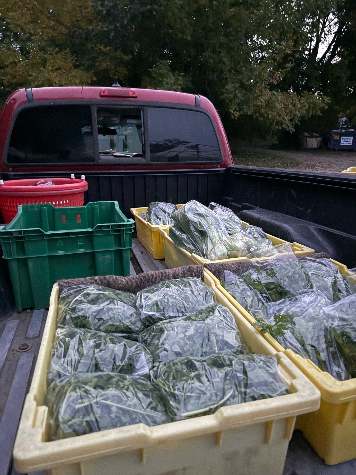 Embed from @brixbounty