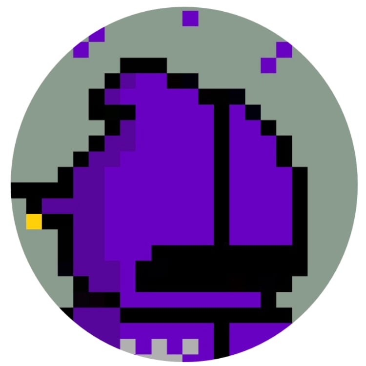 Jey pfp