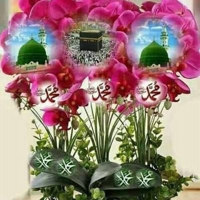 talatchaudhry (talatchlens.lens) Lens social identity (.lens handle) PFP