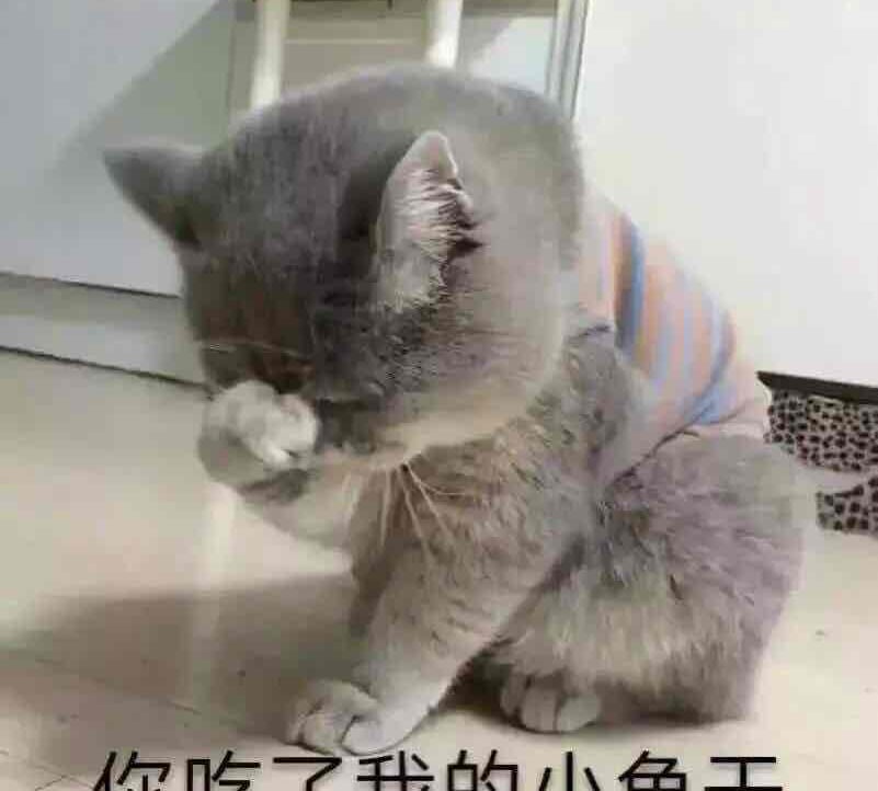 peipei pfp