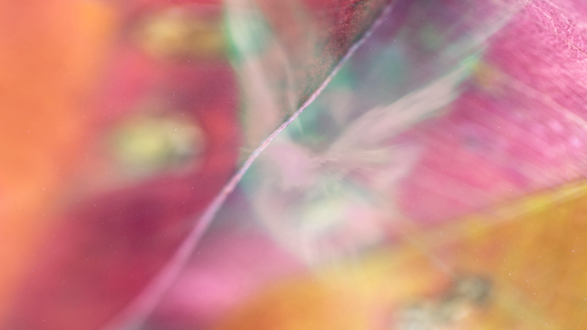 Embed from @chriscocreated