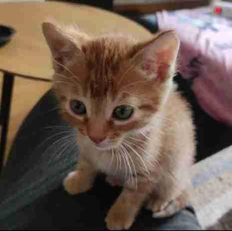 Ace B9 (aceb9) Farcaster social identity (Fname handle) PFP