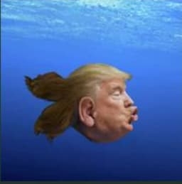 Fish American