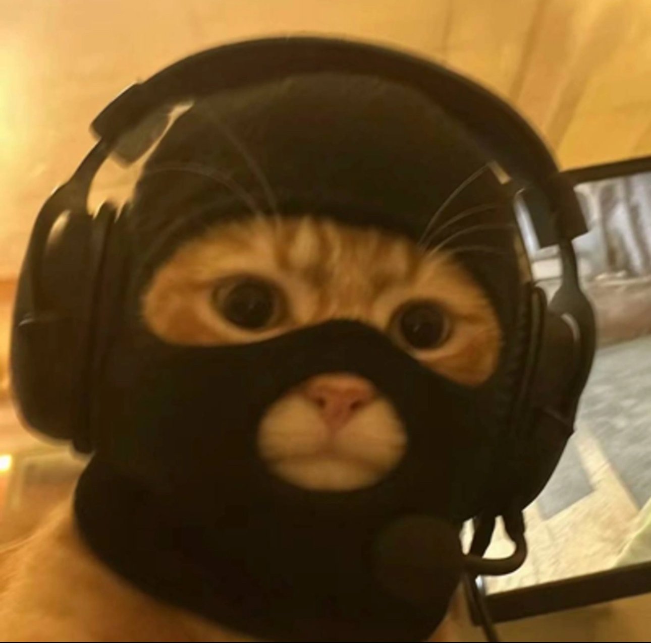 catwifmask