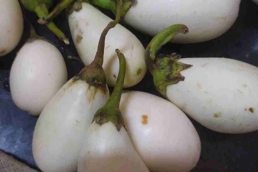 tgomathi.lens Lens social identity (.lens handle) PFP