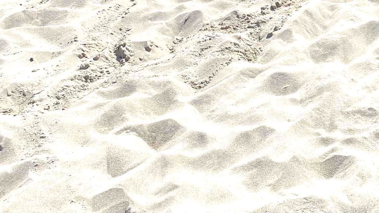 misq93.lens Lens social identity (.lens handle) PFP